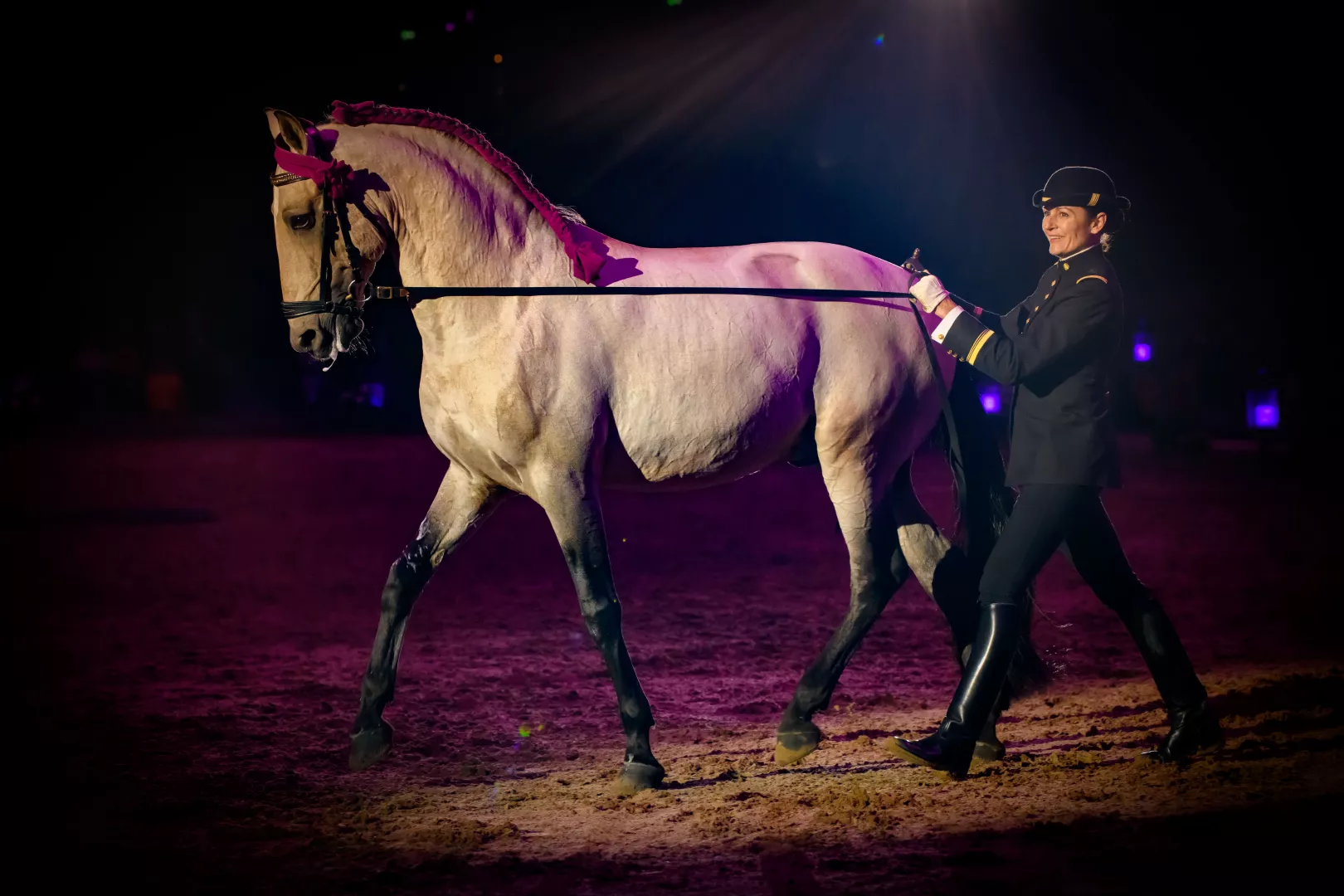 Cadre Noir de Saumur visite dès 6 Spectacle et gala Anjou Tourisme