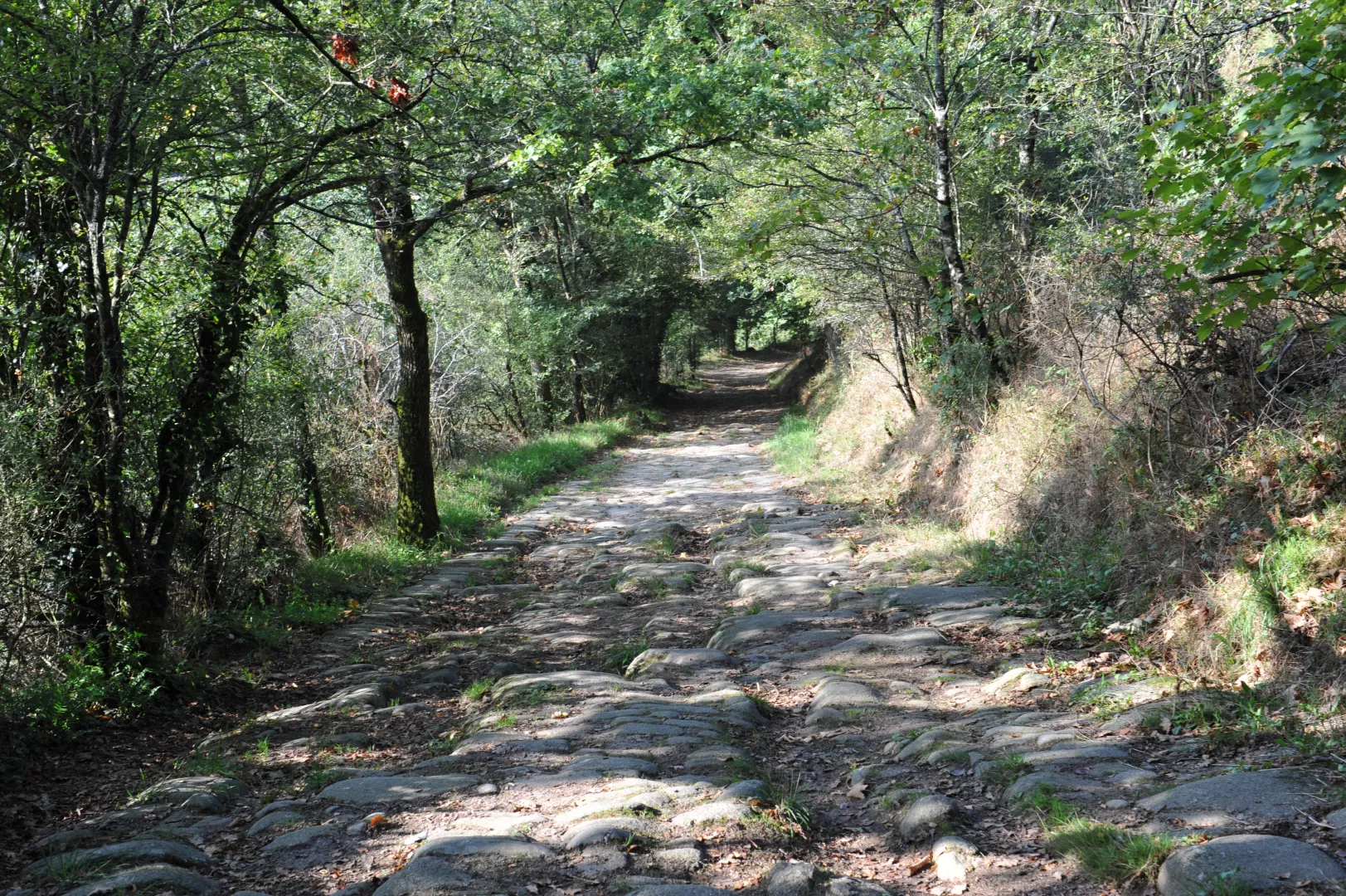 Sentier D Interpr Tation La Bataille De Torfou Sevremoine Anjou Tourisme