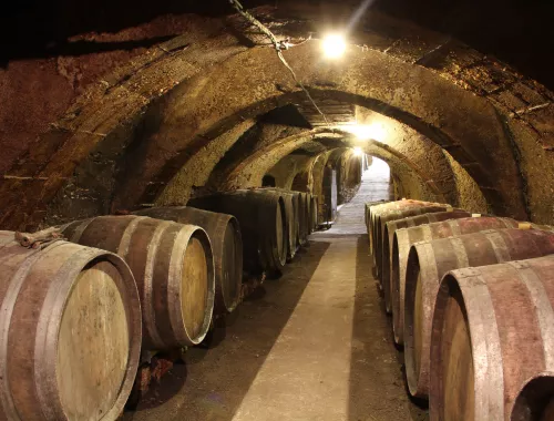 Visiter Les Caves Et Vins De Saumur En Anjou Anjou Tourisme