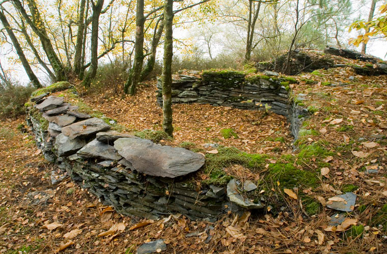 Balade dans le Bois de Kériven Caurel Caurel Côtes d Armor