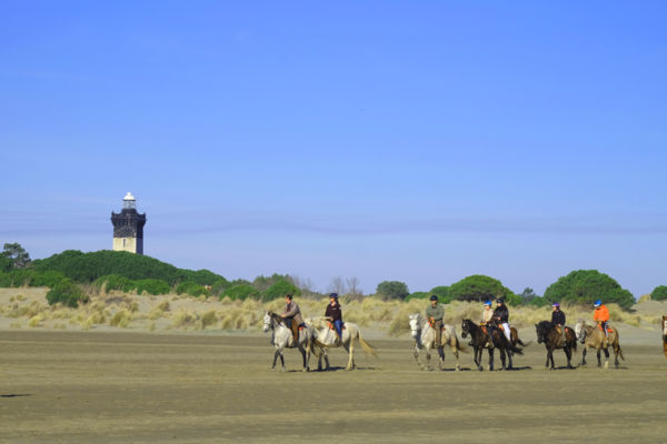 Plage De L Espiguette Dans Le Gard