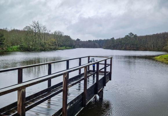 Lac de Vioreau