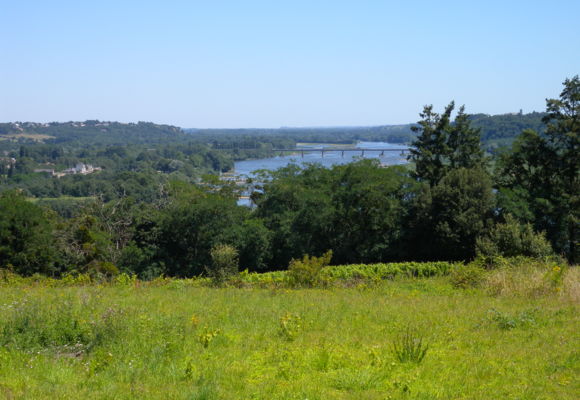 Boucle Oudon - Mauves-sur-Loire