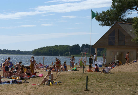 Étang du petit Vioreau, Joué-sur-Erdre