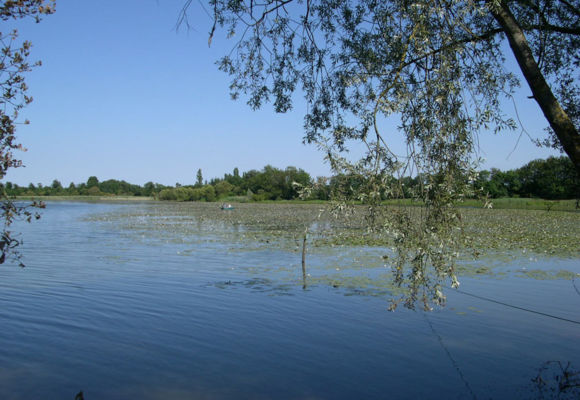 Etang de la provostière