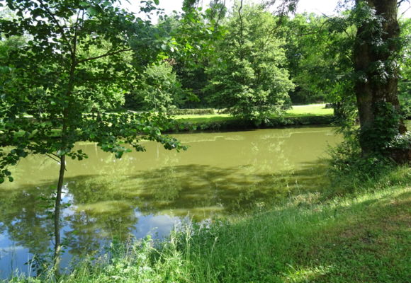 Plan d'eau de la Fontaine aux Merles