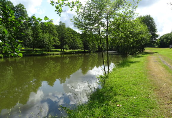 Plan d'eau de la Fontaine aux Merles