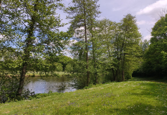 Plan d'eau de la Fontaine aux Merles