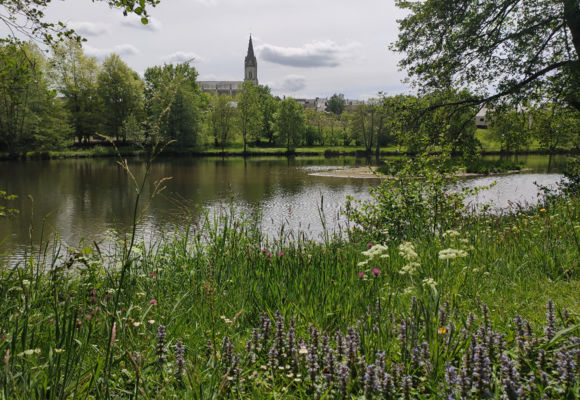 Aire plan d'eau Freigné