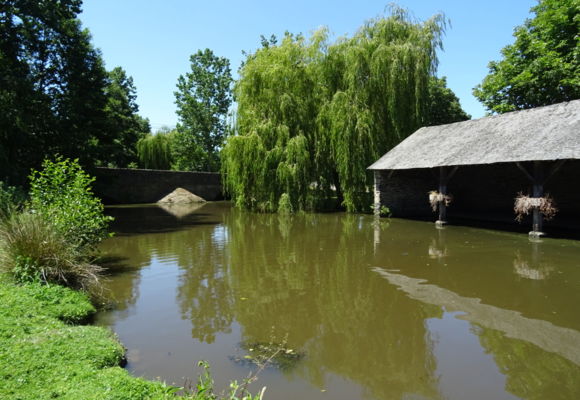 Aire plan d'eau Freigné