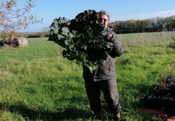 Le Potager Ludique