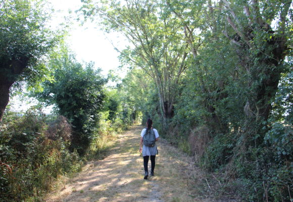 Circuit de la Fontaine Ferrugineuse