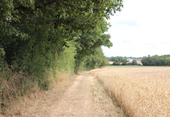 Le Moulin de Peltré