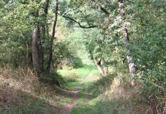 Circuit du Moulin de la Challoire