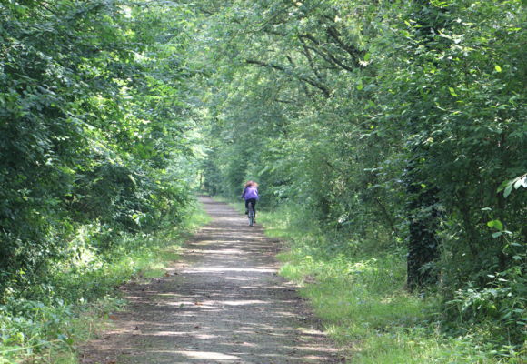 Voie Verte entre Pannecé et Teillé