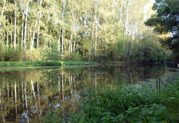 La vallée du Hâvre, Oudon