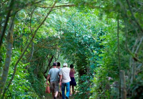 La vallée du Hâvre, Oudon