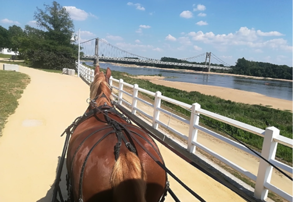 balades-cheval-attelages-erdre-saint-sulpice-des-landes-vallons-de-l-erdre-44-1