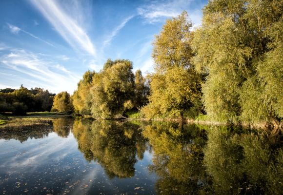 Détours en Loire