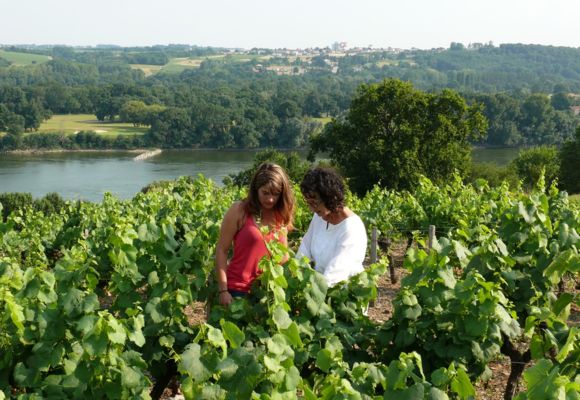 Domaine des Génaudières