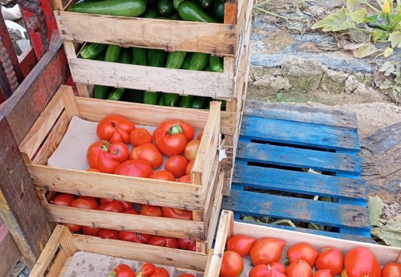 Légumes