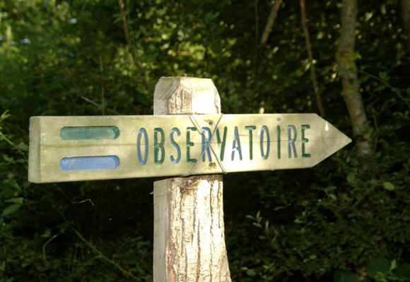 observatoire-étang-provostière-riaille-44-LOI-4