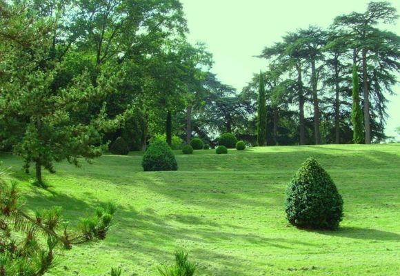 Parc du Manoir de la Vignette