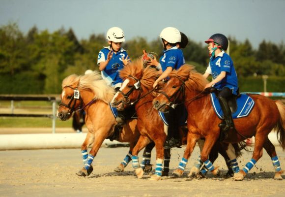 pied bercy_horse-ball