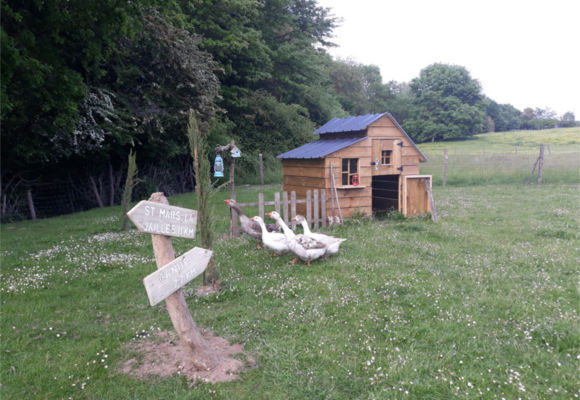 visite-ferme-des-galli-freigne-vallons-de-l-erdre-44-LOI-1