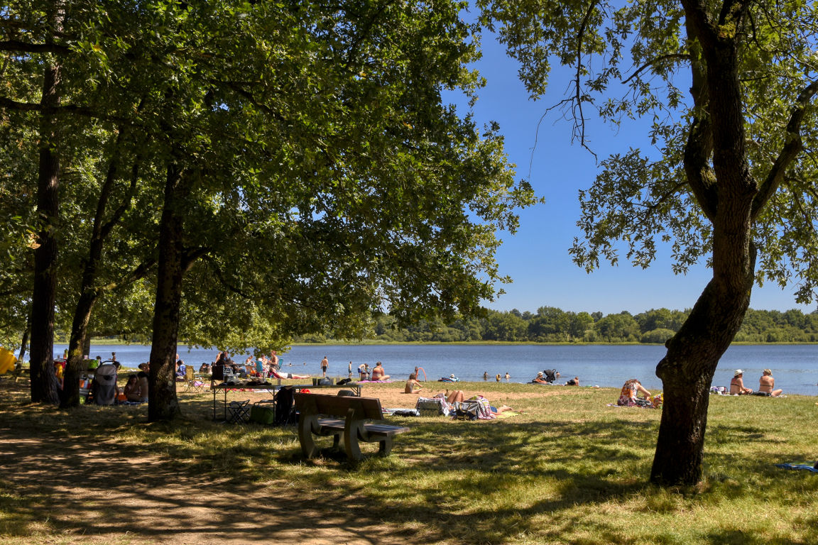 Lac de Vioreau