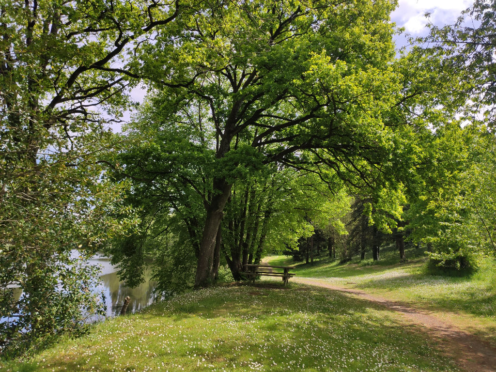 Plan d'eau de la Fontaine aux Merles