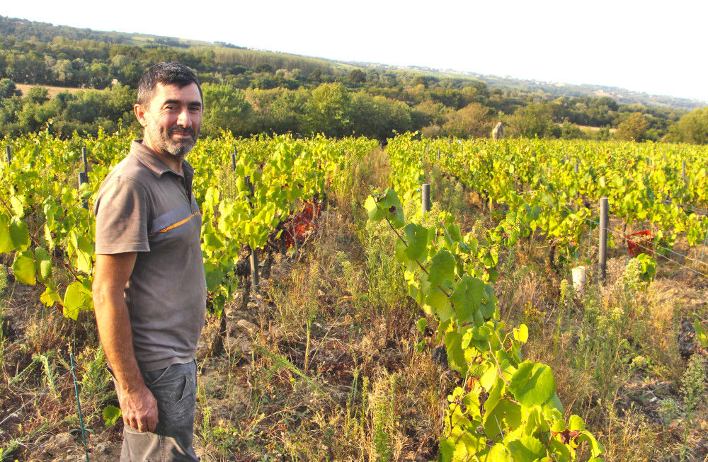 Domaine Les Pierres Meslières