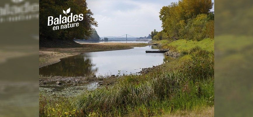 Visite guidée de l'île Bernardeau - Journées Européennes du Patrimoine