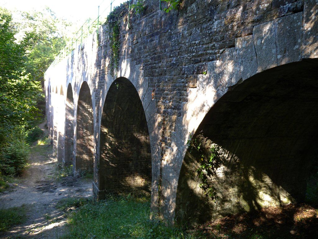 Circuit des Arcades - Joué-sur-Erdre