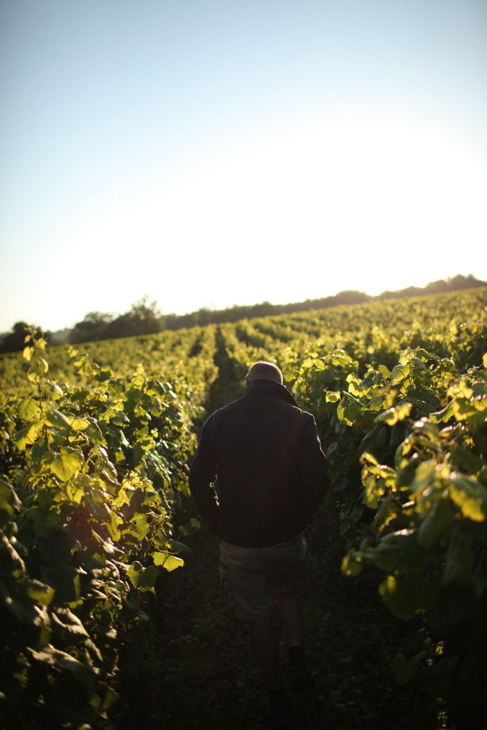 Domaine Staderoli