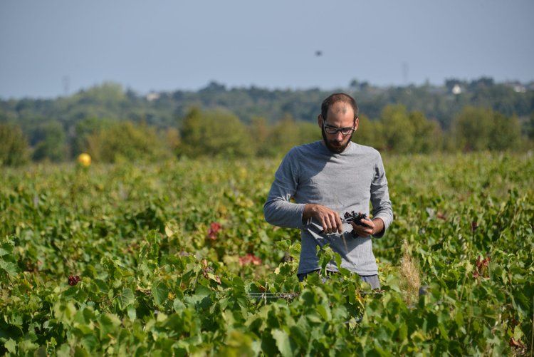 Domaine des Gâtz