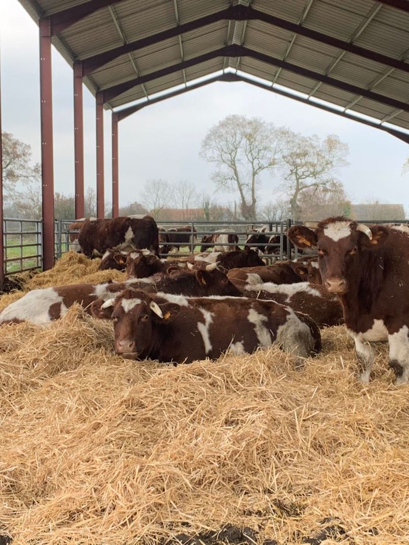 Ferme des Landières