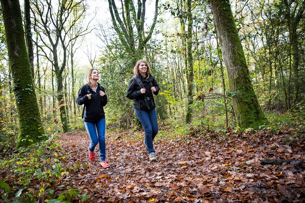 Circuit de la Rotte aux loups - Saint-Mars-la-Jaille