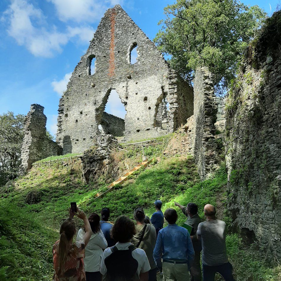 Visite guidée des vestiges du Château de Vieille Cour - Journées Européennes du Patrimoine