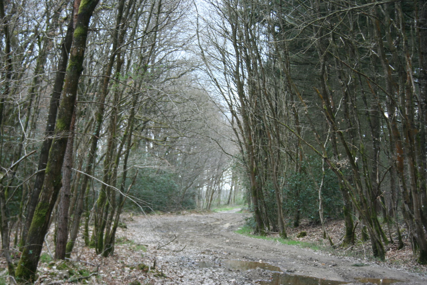 Circuit VTT N° 6 La vallée de l'Erdre - Riaillé