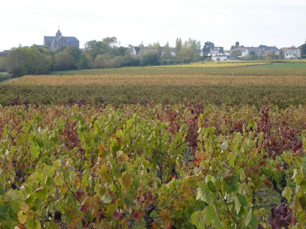 Domaine du Roty