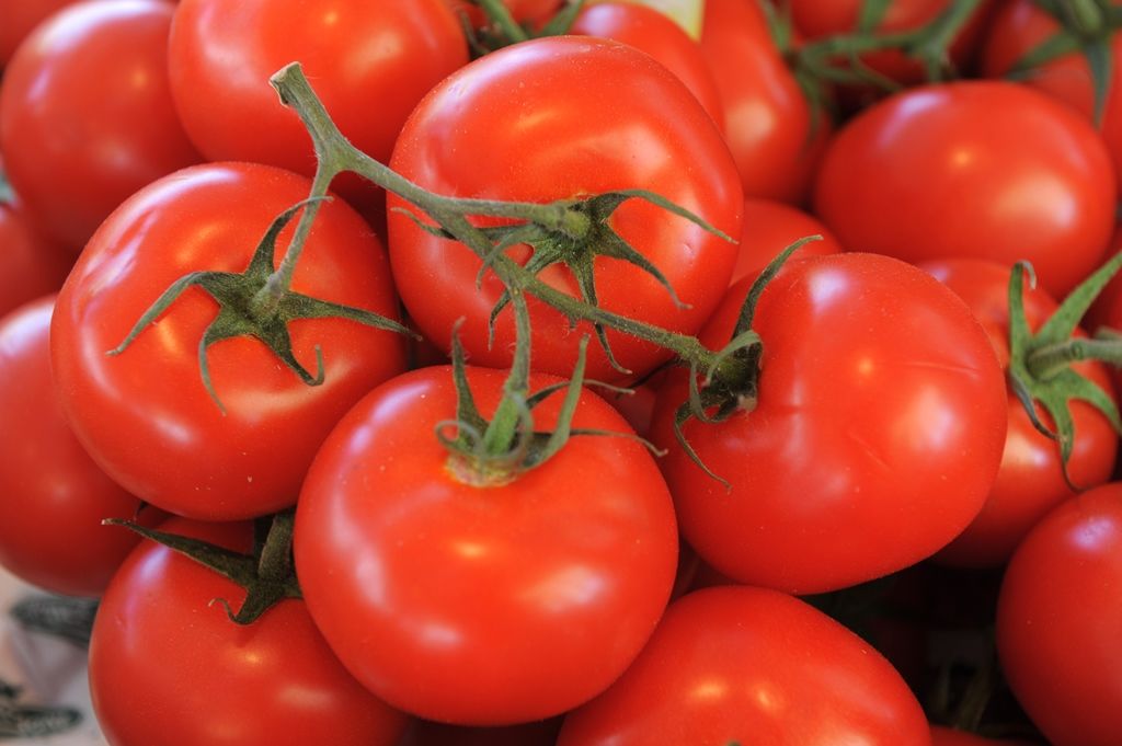 Le wagon, produits fermiers et biologiques