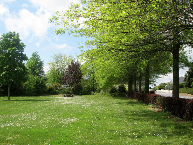 Parcours Permanent d'Orientation - Vair-sur-Loire (Saint-Herblon)