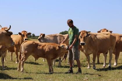 La Ferme des Vertes Prairies