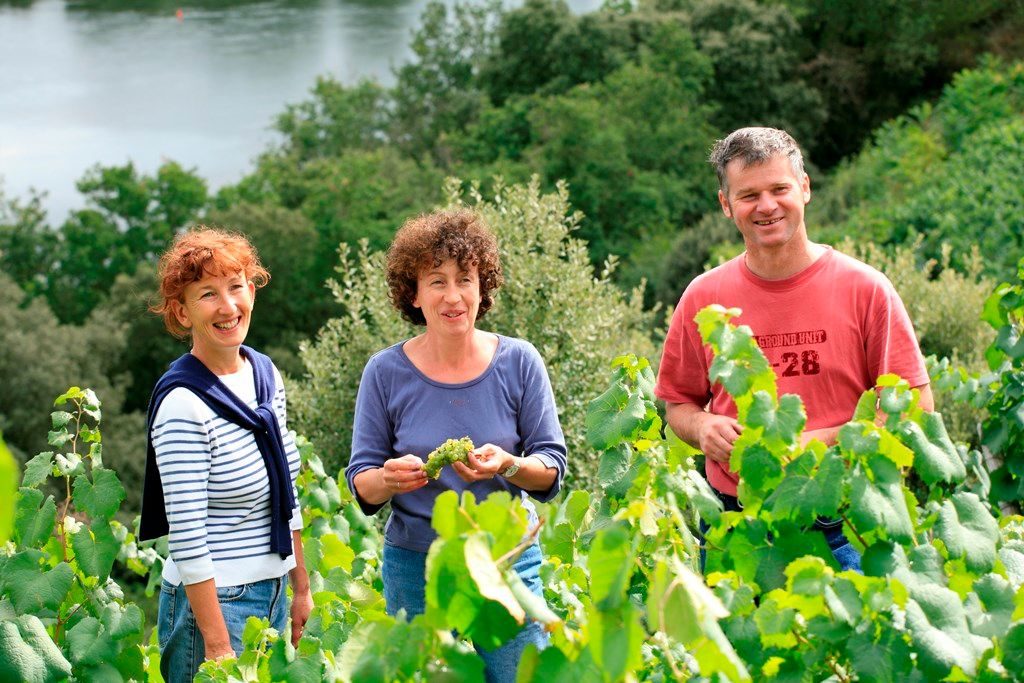 Domaine des Génaudières