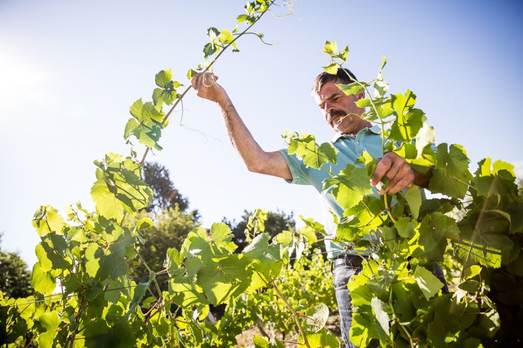 Domaine Landron Chartier