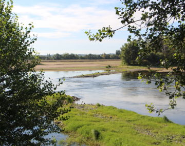 Circuit les Mariniers - Ingrandes-Le Fresne sur Loire