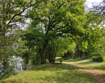 Plan d'eau de la Fontaine aux Merles