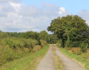 Circuit de la fontaine Cantrais - Le Pin