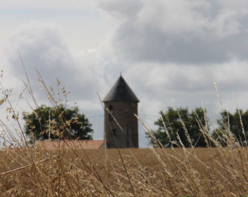 Circuit du moulin de Peltré - La Rouxière